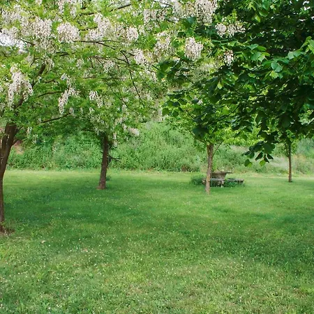 Mas Puigdevall Kır Evi *